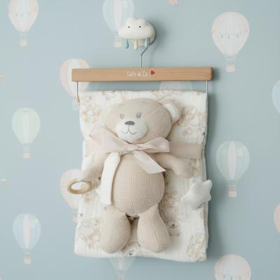 CC112-3004T  Muslin Fabric Blanket & Teddy 