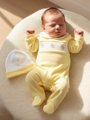 ML2120-6085Y Smocked Owl All In One Set (NB-6m)