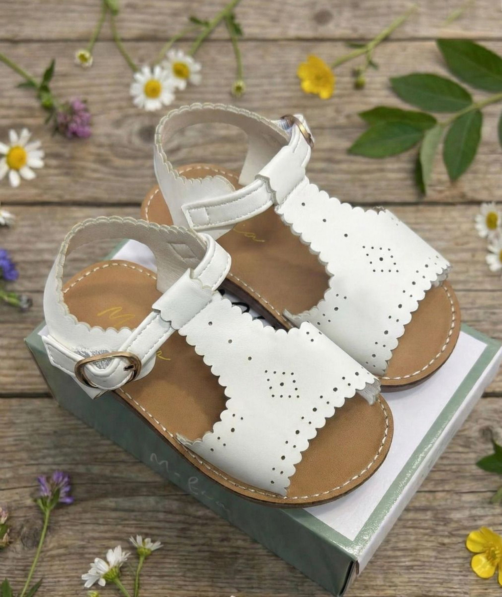 Melia Isabella * MeIsabellaW-A White punch Sandal Pack of 12 (EU 20-25)