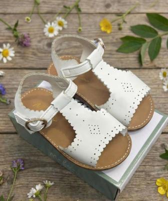 Melia Isabella * MeIsabellaW-A White punch Sandal Pack of 12 (EU 20-25)