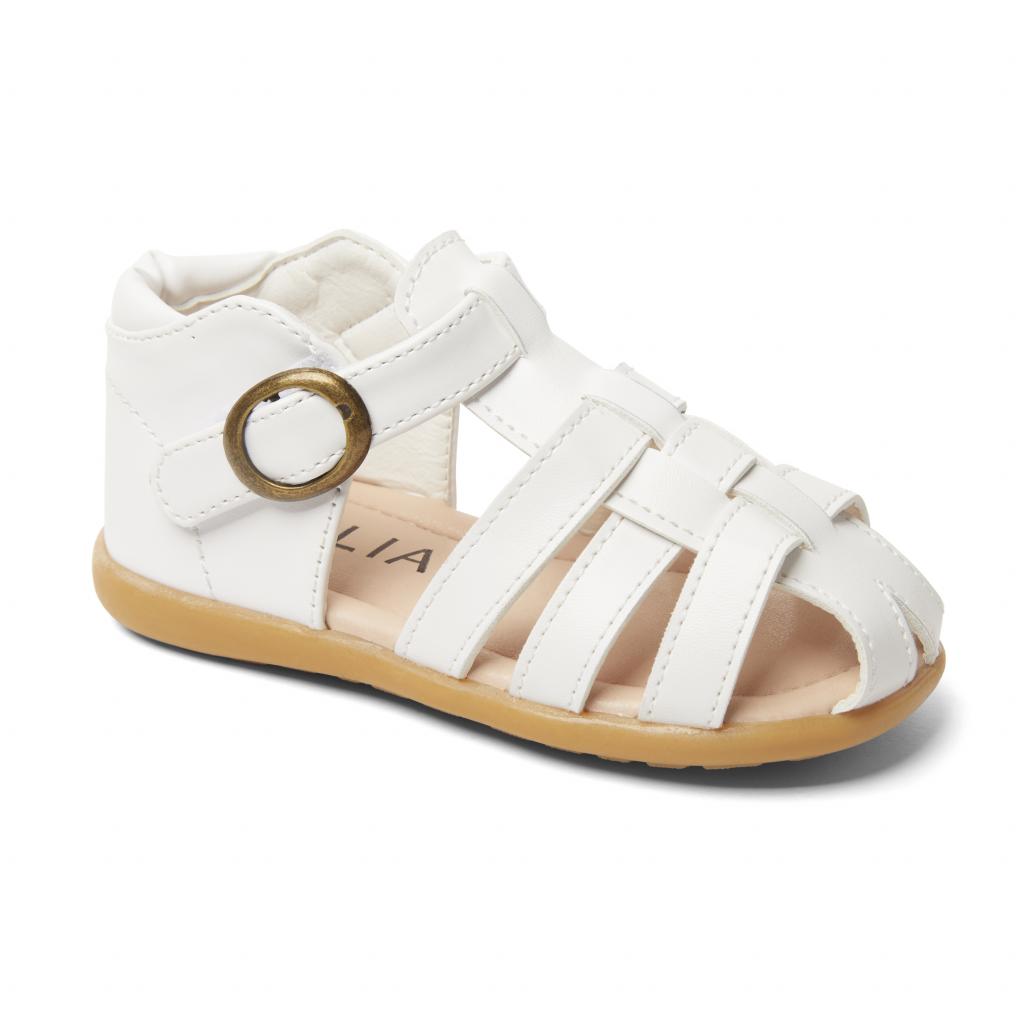 Melia  * MeVictor-W-A White Gladiator  Sandal Pack of 12 (EU 20-25)