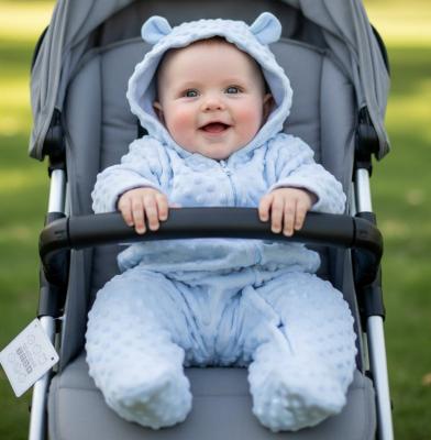 NT2020-2614-S  Bubble/Popcorn Hooded All in One  (NB-9 months)