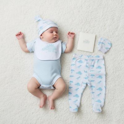 RBC04961  Dinosaur Memory Book 6 Piece Set  (NB - 6m)