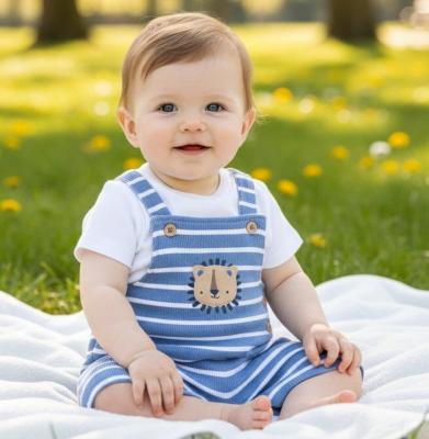 RBH13209  Ribbed Lion Dunagree set  (3-12 months)