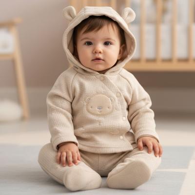 RBJ15440  Teddy textured quilted Hooded Set  (Nb-6 months)