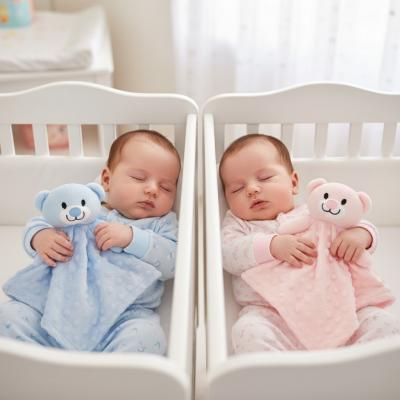 SB25-1245A  Teddy Comforter SINGLE  (Choose Colour)