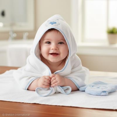 SB25-1270-S  Blue Teddy Hooded Towel and Wash Mitt 