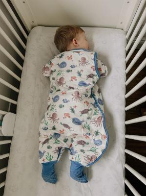 Sleeping Stars Hedgehog 2.50 Sleep Suit  SSSS-1HED Hedgehog 1.0 Tog Sleep Suit (3-36 months Choose)