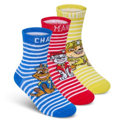 TT42B851  Paw Patrol Triple pack  sock  (3-8.5)