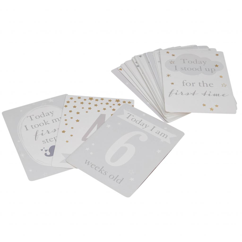 Bambino (Juliana) CG1535 5017224773981 WBCG1535 Milestone Cards