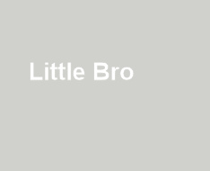 Little Bro  